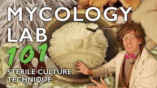 Mycology Lab 101: Agar Work, Cloning, Spores & Sterile Culture Technique for Mushroom Cultivation