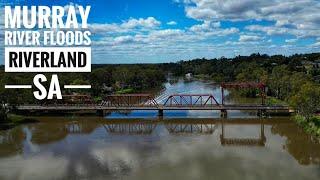 Murray River Floods 04 Nov 2022 - Riverland, South Australia - Renmark/Paringa