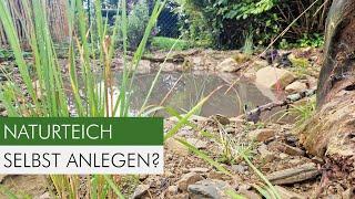 Naturteich anlegen: So erschaffst du ein Paradies für Tiere im Garten!