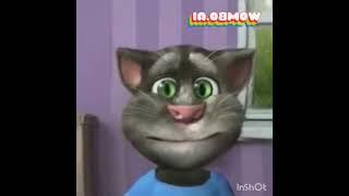 Preview 2 Talking Tom Deepfake