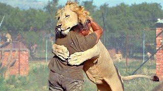 Animals Reunited With Owners After Years !