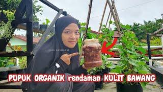 PUPUK ORGANIK RENDAMAN KULIT BAWANG