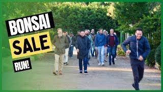 Bonsai Sale at Danny Use Belgium