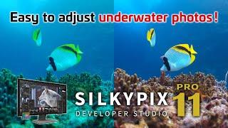 [RAW Development] How to Adjust Underwater Photos [SILKYPIX].