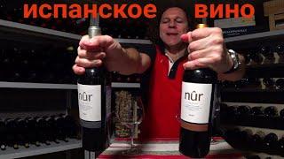 Испанское вино NUR Crianza DOC Priorat 2015 vs Петит НУР Купаж. Винный эксперт Стефан Секулич.