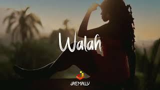 "Walah" - Burna Boy x Fela Kuti Type Beat [ Afro Fusion Instrumental ]