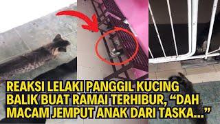 REAKSI LELAKI PANGGIL KUCING BALIK BUAT RAMAI TERHIBUR, "DAH MACAM JEMPUT ANAK DARI TASKA.."