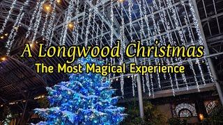 A Longwood Christmas | The Most Magical Experience