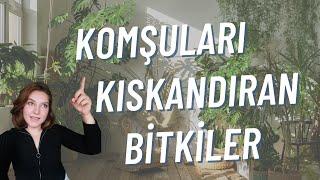 BİTKİ BAKIM TÜYOLARI | İÇ MEKAN BİTKİLENDİRME