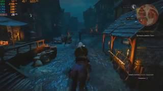 Witcher 3 - AMD Athlon II X3 450 - GTX 750 Ti