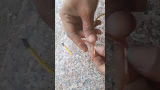 wire joint #shortvideo