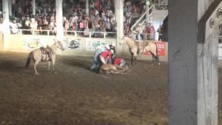 Horse breaks neck in rodeo