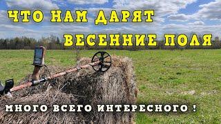 Что нам дарят весенние поля. Много всего интересного!