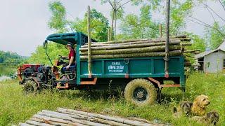 Buy Wood From Villagers On High Hills - Use Trucks To Transport - Sell To Traders | Đào Daily Farm