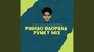 Pinhao Baopana Fvnky Mix (Remix)