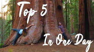 PERFECT Day In Sequoia NP // TOP 5 to do in ONE DAY