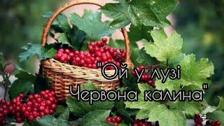 Пісня Українських Січових Стрільців "Ой у лузі червона калина"