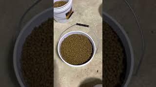 GAME FOWL FEED MIX     Chicken farming!