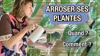 PASSION PLANTES I Quand et Comment arroser ses Plantes d'intérieur ? Les Erreurs à éviter