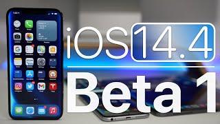 iOS 14.4 Beta 1 is Out! - What's New?