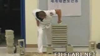 Best Karate Punch Ever  funny