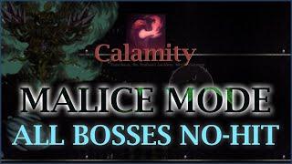 Terraria Calamity Mod -- All Bosses Malice Mode NOHIT (V1.5.0.003)