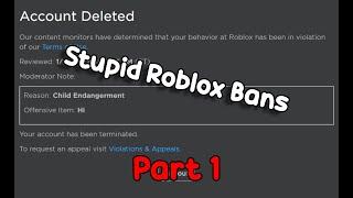 Stupidest Roblox Bans Ever | Part 1