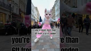 am i the first furry to do this?  #ratdance #furry #coventgarden