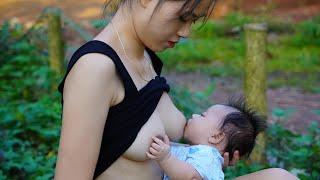 Single Mom Harvests Corn for Cows, Enjoys Boiled Corn, and Cares for Her Baby ️