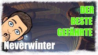 Beste GEFÄHRTE/BEGLEITER in NEVERWINTER [deutsch]