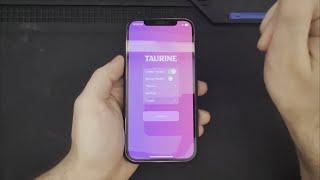 Taurine Jailbreak: iPhone 12 Pro, iOS 14.0 - 14.8.1