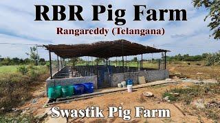 RBR Pig Farm , Hydrabad Telangana II SWASTIK PIG FARM II TELGU-HINDI