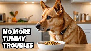 Best Dog Food for Sensitive Stomach: Top Picks for Your Pup's Health 