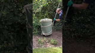 Customer Wanted It Gone.. I Rehomed This Tree! #satisfying #lawn #garden #gardening #diy