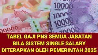 KENAIKAN GAJI PNS 2025 PAKAI SKEMA SINGLE SALARY? INI TABEL GAJI PNS SKEMA SINGLE SALARY DITERAPKAN