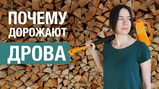 Как связаны лесные законы и цены на дрова