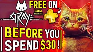 STRAY Things to Know Before You SPEND $30 - FREE on PS Plus Extra/Premium! (New CAT Adventure Game)