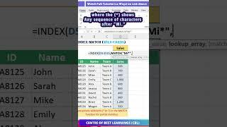 Use Index match to filter partial matched data in Excel #exceltips #exceltrick #exceltutorial