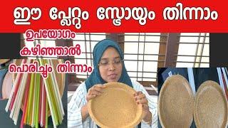 ഭക്ഷണശേഷം കടിച്ച് തിന്നാൻ പറ്റുന്ന പ്ലേറ്റും സ്ട്രോയും||Thooshan||Biodegradable plate Manufacturing