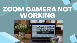 How To Fix Zoom Camera Not Working