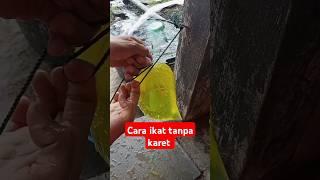 cara mengikat es batu tanpa karet #trending #viral#fyp