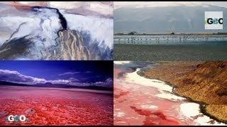 Tanzania, Lake Natron : Salt Mysterious Petrified Animals [IGEO.TV]