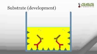 ELISA test procedure