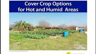 Cover Crop Options for Hot and Humid Areas