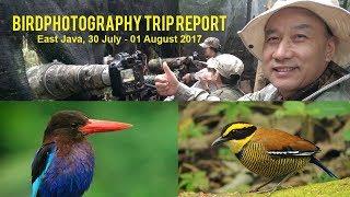 Bird Photography Trip Report | 5 Birds in 2 Days