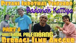 (PART 6) Belajar ILMU Anggur Bersama Ibu BADARIAH KATTIYA Petani Anggur INDOTHAI VINEYARD