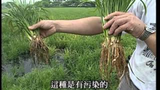 我們的島 第106集 變色的黃墘溪 (2001-05-07)