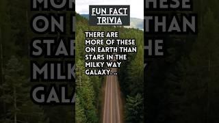 Fun Fact Trivia: More of theses than stars? nah, ah yeah