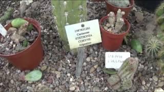 Growex Tour: The University of Leicester Botanic Garden