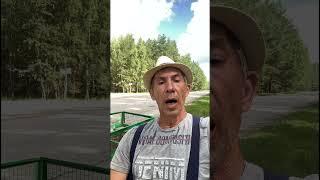 Выбирай сам! #деревня #nature #village #shortvideo #shorts #short